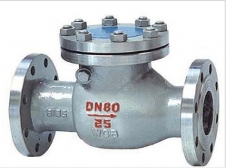 Swing Check Valve