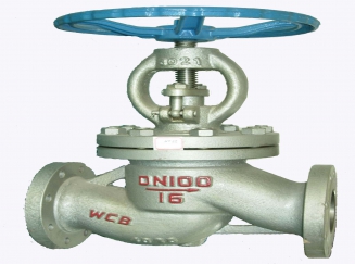 Globe Valve